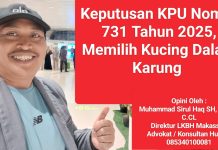 Keputusan KPU Nomor 731 Tahun 2025, Memilih Kucing Dalam Karung